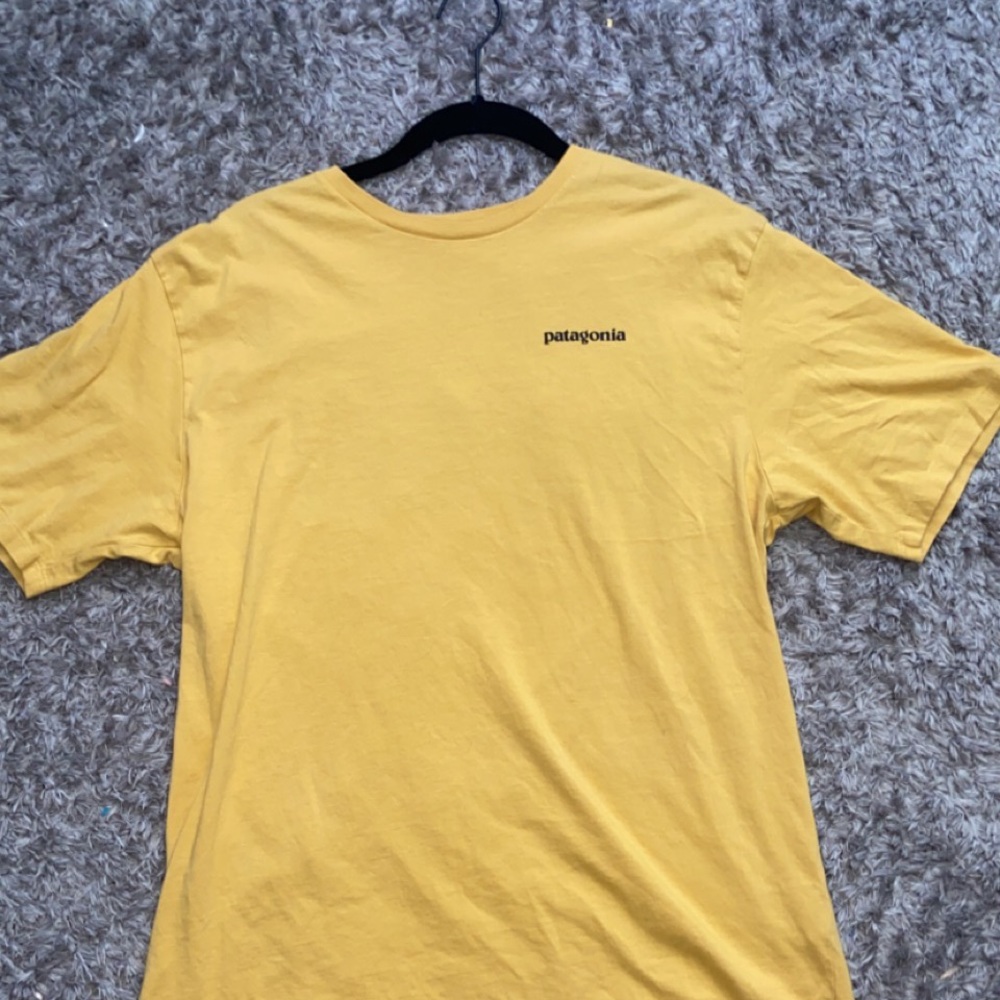 Patagonia Tee